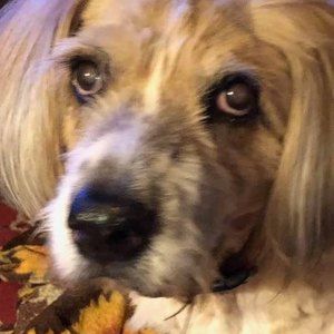 Meet your Posher, Glenda